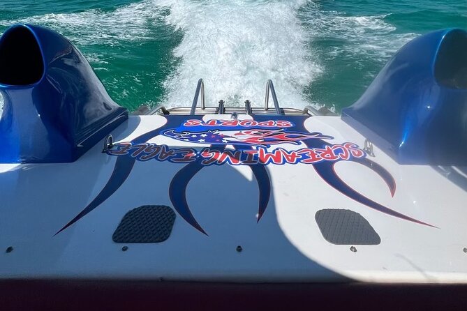 Private Dolphin Spotting Thrill Ride in Destin - Searching for dolphins beyond Destin Harbor