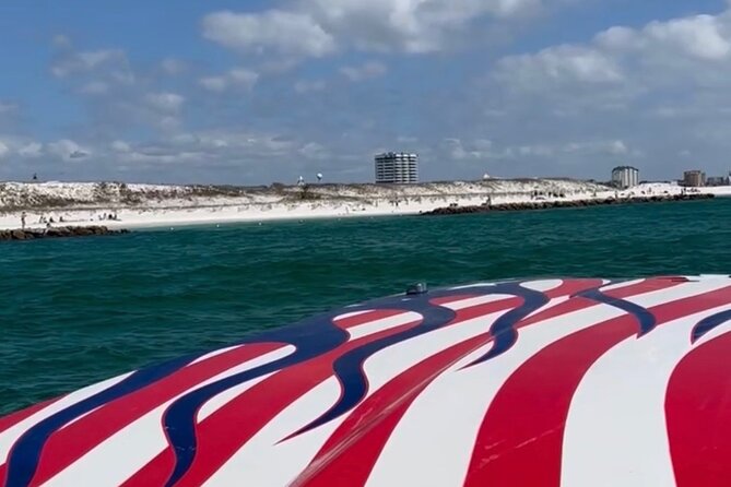Private Dolphin Spotting Thrill Ride in Destin - Who will enjoy this most?