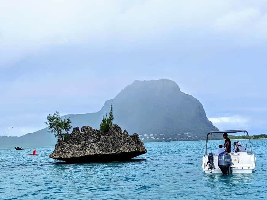 Private Dolphin Swim/Snorkeling & Lunch on Benitiers island - Why this Mauritius boat day works