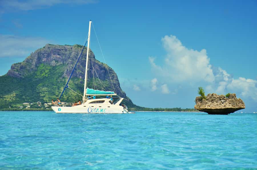 Private Dolphin Swim/Snorkeling & Lunch on Benitiers island - Speedboat ride to Tamarin Bay