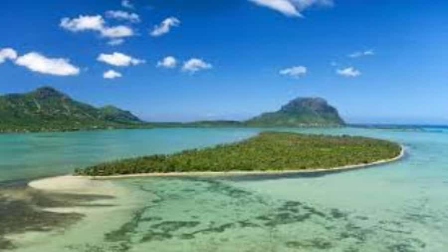 Private Dolphin Swim/Snorkeling & Lunch on Benitiers island - Crystal Rock with Le Morne in view