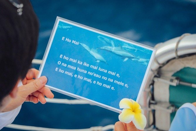 Private Dolphin Swim with Slide for up to 15 Passengers - How much value do you get for $200?