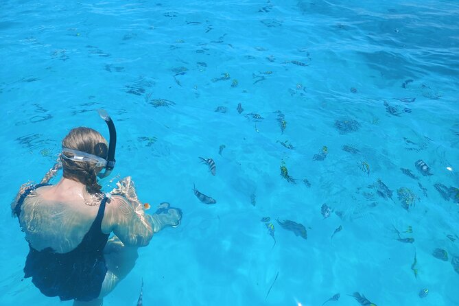 Private Dolphin Tour and Snorkeling at Mnemba Island reef - How private transport changes the experience