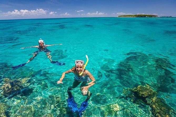 Private Dolphin Tour and Snorkeling at Mnemba Island reef - Who should book this Mnemba excursion?