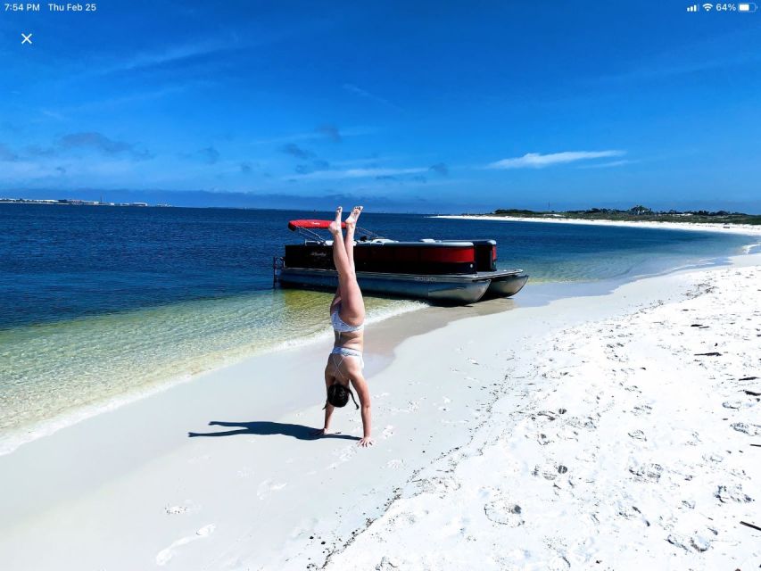 Private Dolphin Tour with Secluded Beach/Snorkel Stop - Watching for dolphins in Pensacola Bay