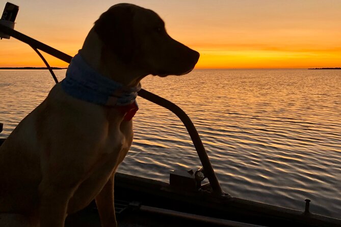Private Dolphin Watch and Sunset Boat Tour Port Aransas Texas - Why the private format matters in Port Aransas
