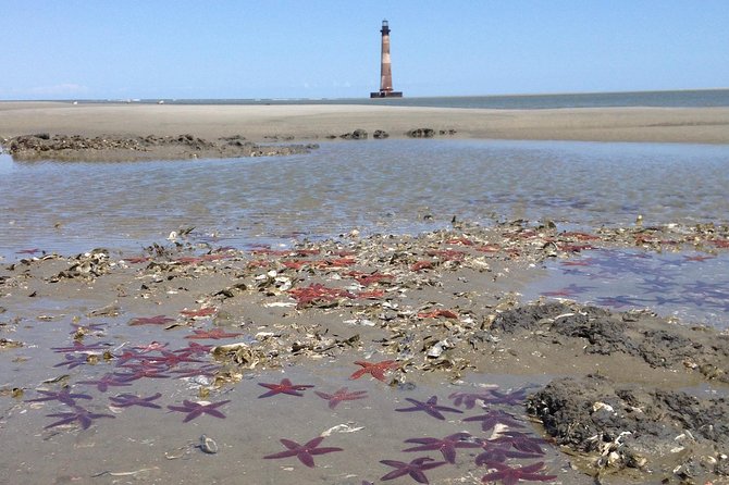 Private Dolphin Watch, Lighthouse and Ecological Boat Tours - Leaving 97 Center Street for the estuaries