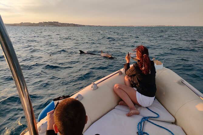 Private Dolphin Watching And Snorkeling Tour - Key Points at a Glance
