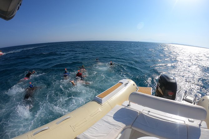 Private Dolphin Watching And Snorkeling Tour - Comfort, Safety, and Conservation