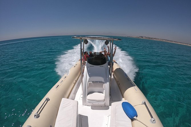Private Dolphin Watching And Snorkeling Tour - Searching for Dolphins in Their Natural Habitat