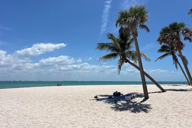 Private Dolphin Watching Beach Day Getaway - Weather, timing, and cancellation rules