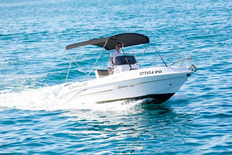 Private Family Dolphin Tour in Poreč - What the 150-minute boat trip is really like