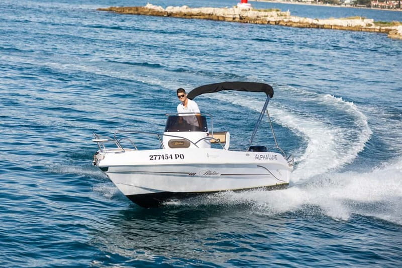 Private Family Dolphin Tour in Poreč - Poreč and Vrsar from the water