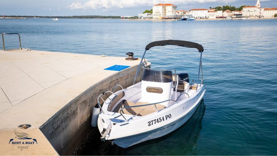 Private Family Dolphin Tour in Poreč - Morning or evening: choosing the better departure