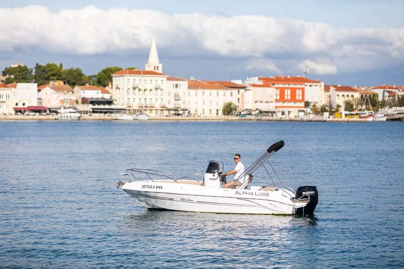 Private Family Dolphin Tour in Poreč - Searching for dolphins off the Istrian coast