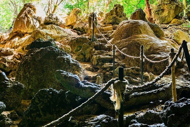 Private Full-Day: Dolphin & Monkey Jungle Adventure - Kuza Cave and a different side of Zanzibar