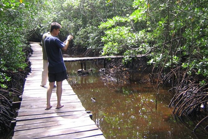 Private Full-Day: Dolphin & Monkey Jungle Adventure - Should you book it?