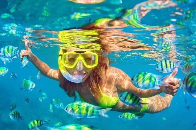 Private Full-Day Lovina Dolphin Watching and Snorkeling Boat Tour - What the $152 price really covers