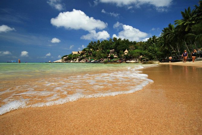 Private Full-Day Red Dragon Yacht for Snorkeling Koh Tan & Visit Pink Dolphin - Key things to know before you book