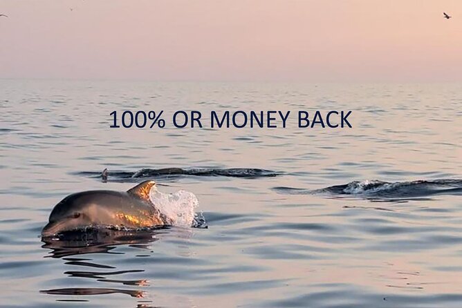 Private Guided Sunset Dolphin Watching in Adriatic Sea - Key points to know before booking
