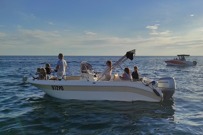 Private Guided Sunset Dolphin Watching in Adriatic Sea - Vrsar is the real starting point