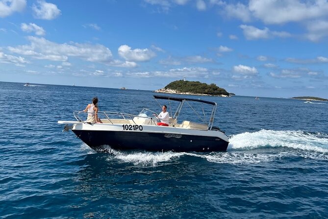Private Guided Sunset Dolphin Watching in Adriatic Sea - A responsible way to watch wild dolphins