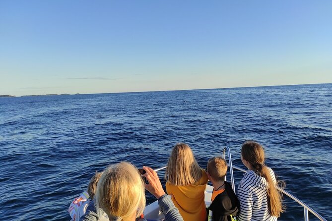 Private Guided Sunset Dolphin Watching in Adriatic Sea - What the 90-minute outing actually involves