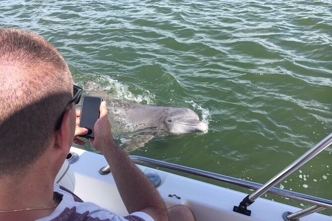 Private Hilton Head Dolphin Tour with Waterfront Dining Stop - Watching dolphins in Broad Creek and Calibogue Sound