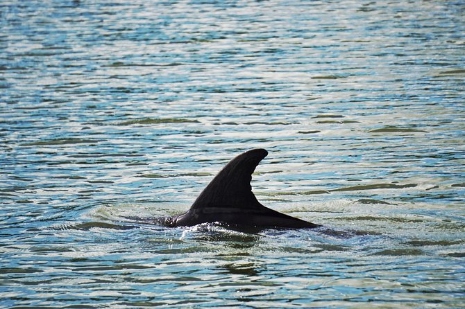 Private Hilton Head Dolphin Tour with Waterfront Dining Stop - How the restaurant stops fit into the cruise