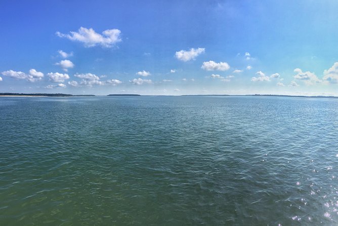 Private Hilton Head Dolphin Tour with Waterfront Dining Stop - Who will enjoy this outing most