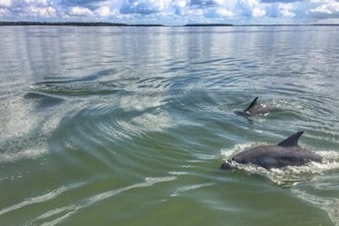 Private Hilton Head Sunset Dolphin Tour - Key points before you book