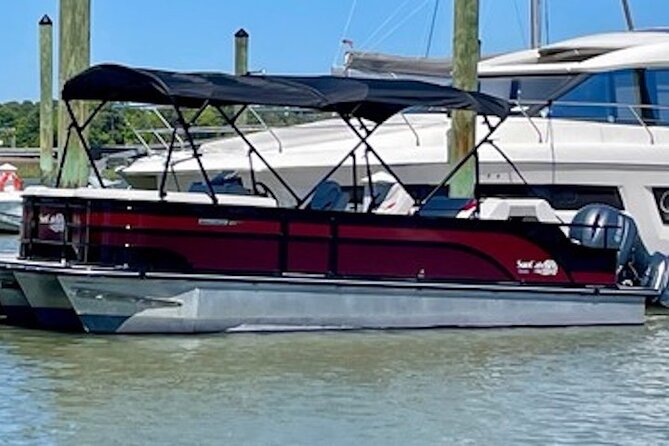 Private Hilton Head Sunset Dolphin Tour - Dolphin watching with realistic expectations