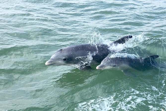 Private Historical Wildlife and Dolphin Cruise South Padre Island - Setting out across Laguna Madre