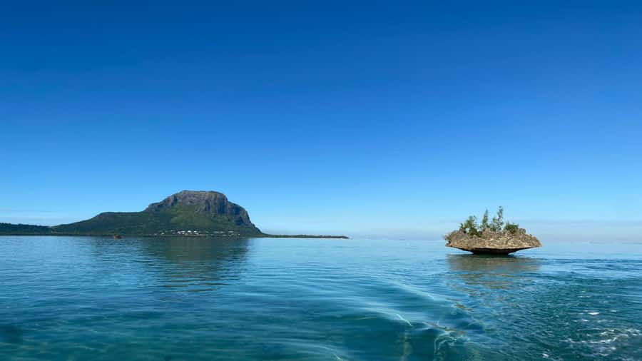 Private Île aux Bénitiers Boat: Dolphin Snorkeling & Lobster - Crew, languages, and the human side of the day