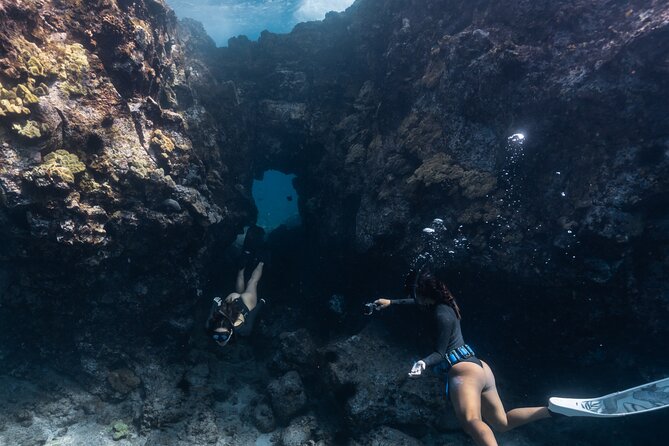 Private Kealakekua Bay Snorkel and Dolphin Watch - Why Kealakekua Bay makes a fine half-day outing