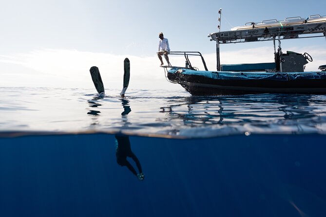 Private Kealakekua Bay Snorkel and Dolphin Watch - What to pack for four hours on the water