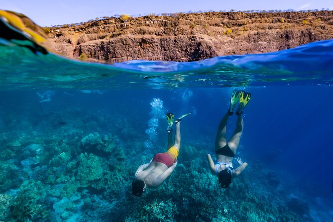 Private Kealakekua Bay Snorkel and Dolphin Watch - Cruising the Kona Coast in search of dolphins