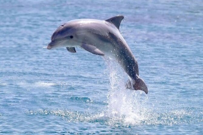 Private Luxury Dolphin House Boat Tour With Lunch - Hurghada - Lunch, drinks, and a day in the sun