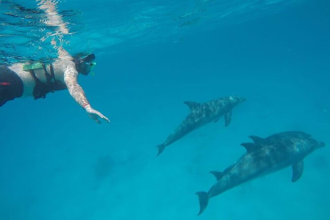 Private Luxury Dolphin House Boat Tour With Lunch - Hurghada - Searching for dolphins without chasing them