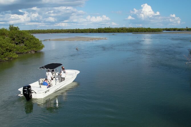 Private Marco Island / 10,000 Islands Sightseeing & Dolphin Tour - Key details before you book