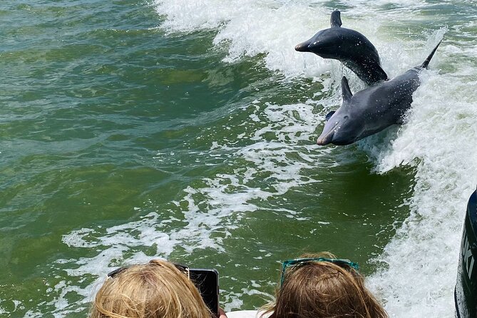 Private Marco Island / 10,000 Islands Sightseeing & Dolphin Tour - Marco Island’s polished waterfront
