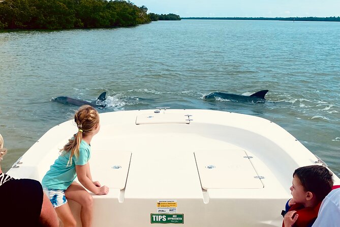 Private Marco Island / 10,000 Islands Sightseeing & Dolphin Tour - Shelling on remote islands