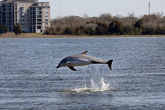 Private Morning Sail, Dolphin and History Tour on Mystique - The Yorktown aircraft carrier from the harbor
