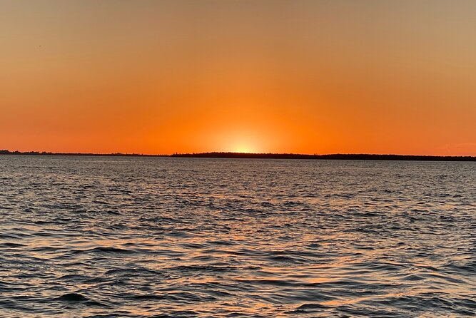 Private ONLY Dolphin Boat Tours - From a Cape Coral Dock to San Carlos Bay