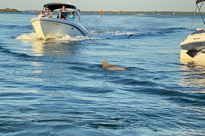 Private ONLY Dolphin Boat Tours - Dolphins, Flamingos, and the Final Light