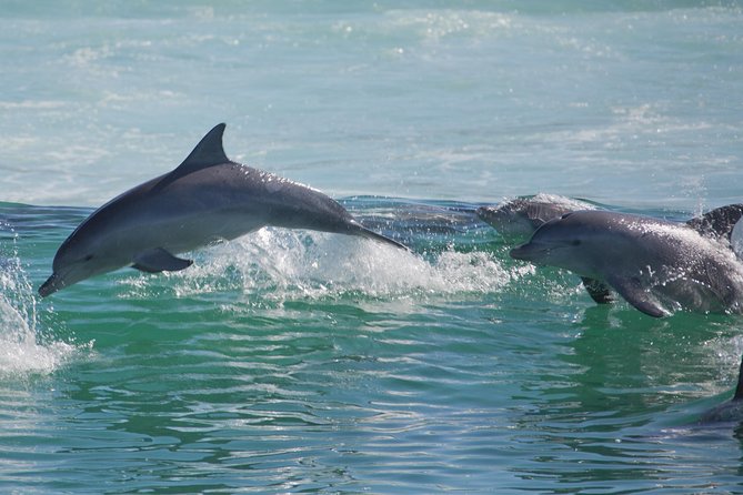 Private Port Stephens Day Trip from Sydney incl Dolphin Cruise - Gan Gan Lookout gives you the big picture