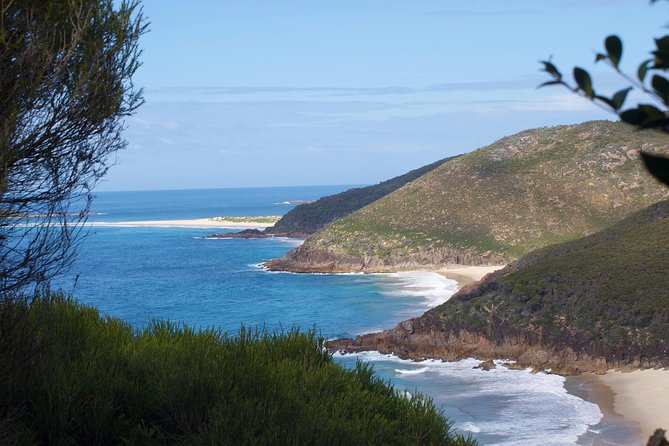 Private Port Stephens Day Trip from Sydney incl Dolphin Cruise - Stockton Sand Dunes: the day’s most active option