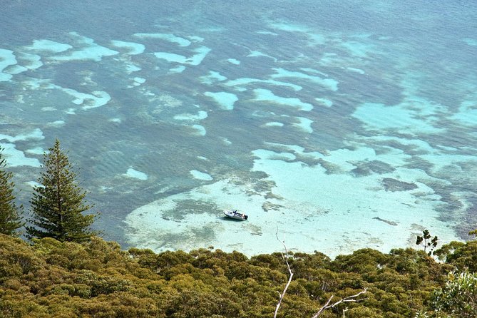 Private Port Stephens Day Trip from Sydney incl Dolphin Cruise - The three-hour Nelson Bay dolphin cruise