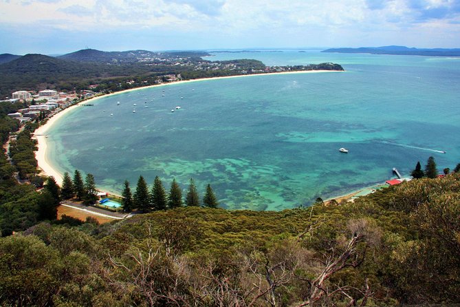 Private Port Stephens Day Trip from Sydney incl Dolphin Cruise - The guide can shape the whole day