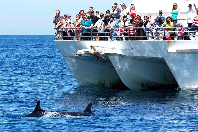 Private Port Stephens Day Trip from Sydney incl Dolphin Cruise - Crossing the Sydney Harbour Bridge and Hawkesbury River